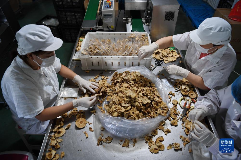 赢现金的手游
